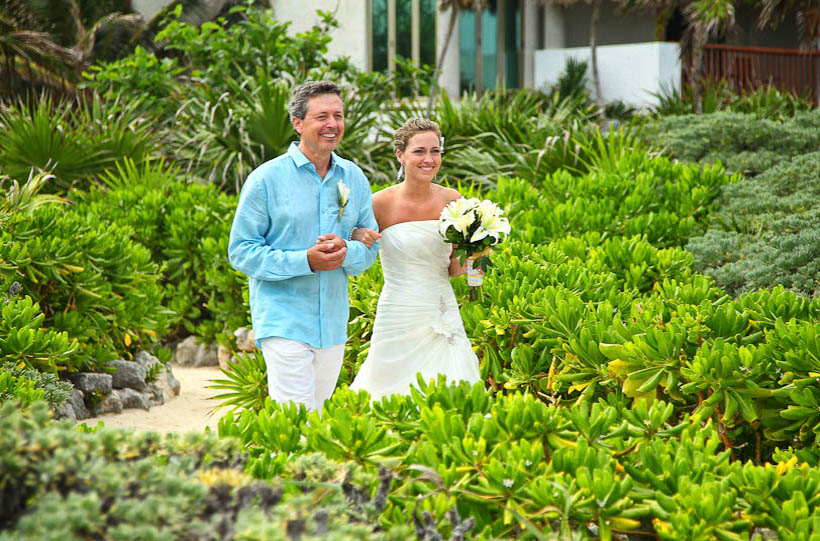 Css Template Preview